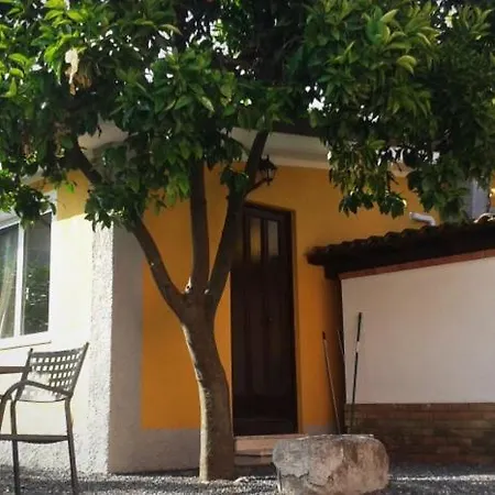 Ardissone Thomas Apartment *